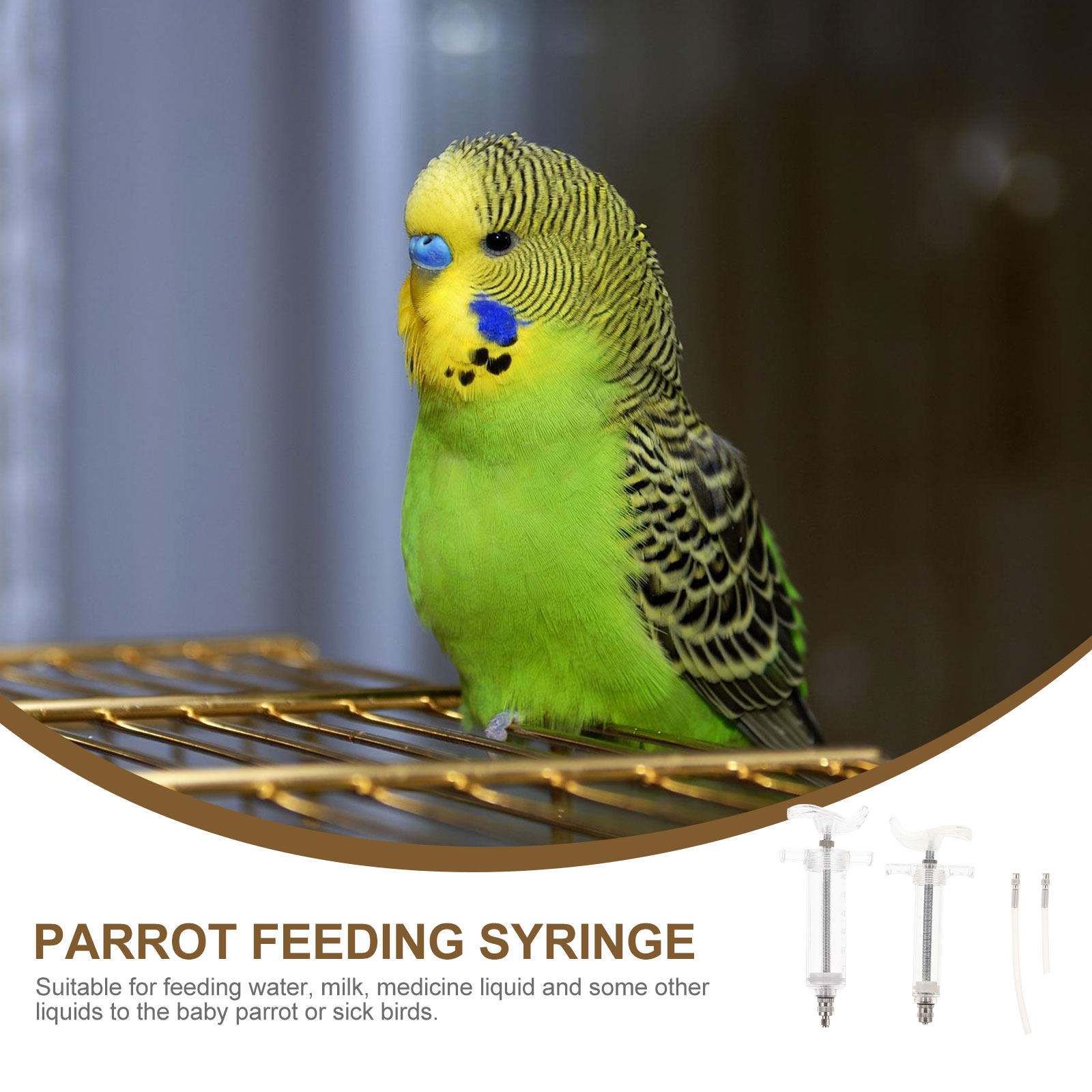 1Set Baby Bird Feeding Budgie  - Baby Food Youtube 评论和价格