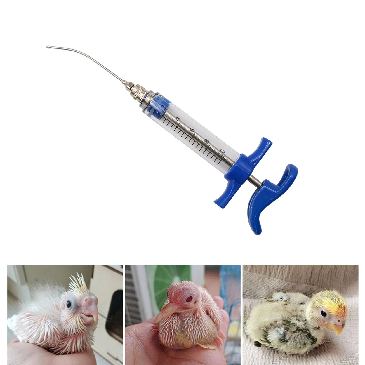 Parrot Feeding Tubes Birds Fee - Baby Food Youtube 评论和价格