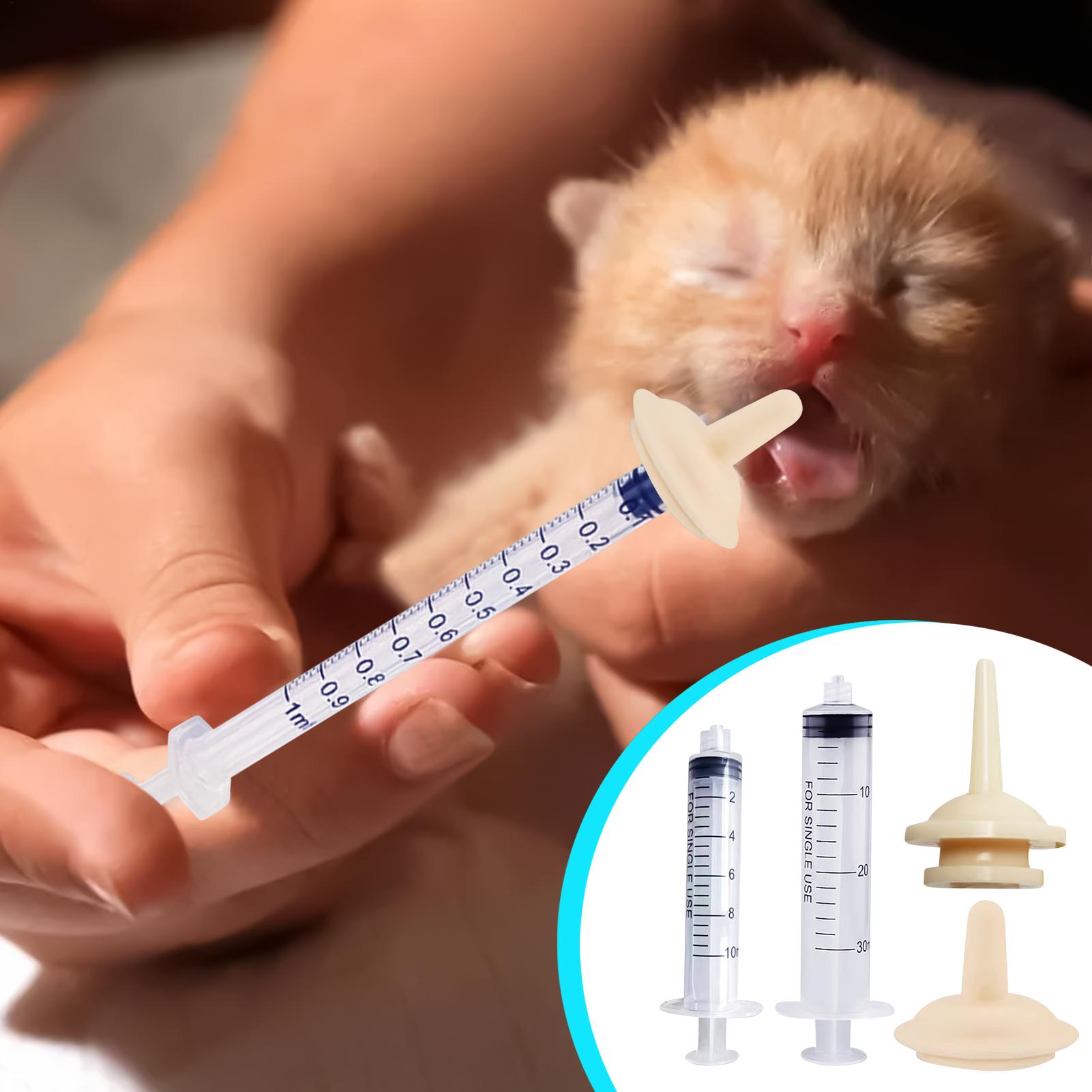 Baby Bird Feeding Syringe Reus - Baby Food Youtube 评论和价格