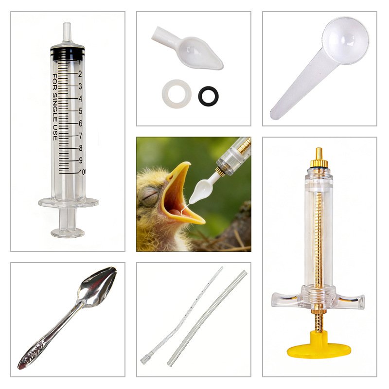 Food Grade Bird Feeder for Bab - Baby Food Youtube 评论和价格