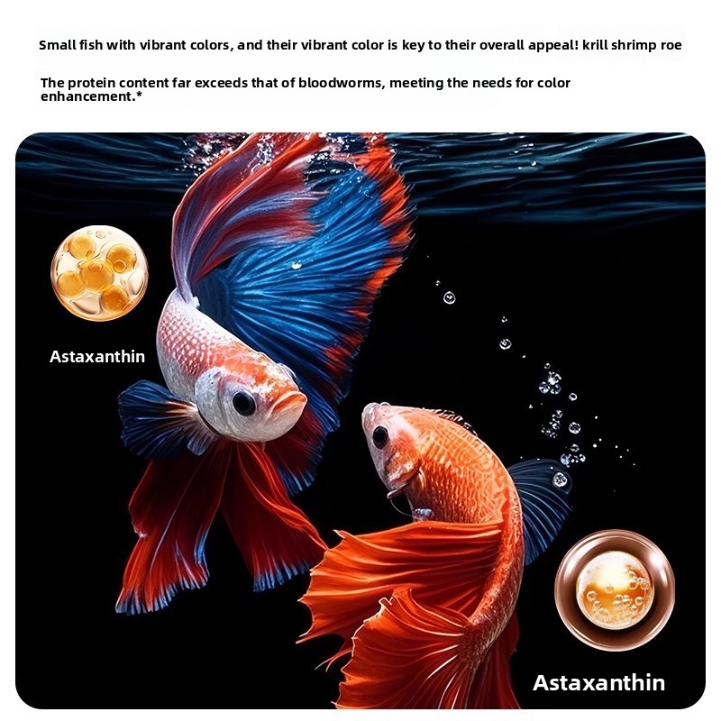 Yee Krill & Baby Shrimp Dry Fo - Dry Food Baby 评论和价格